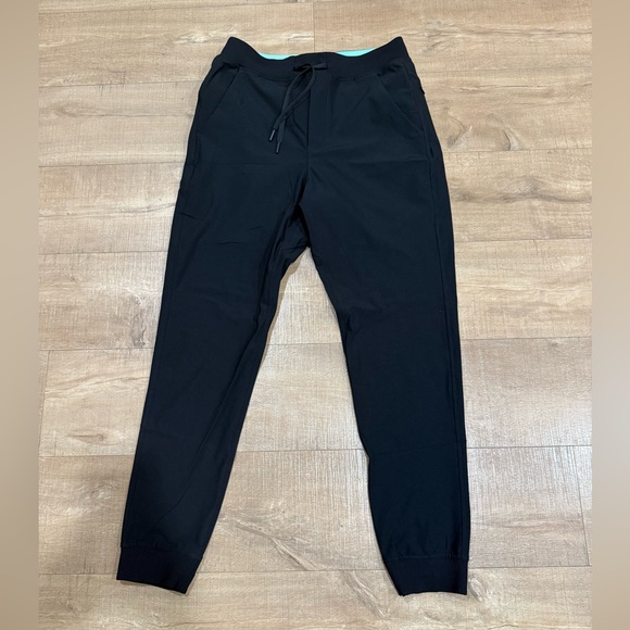 Birddogs Men's For Your Boomstick Stretch Lined Jogger Back/Teal Size Large